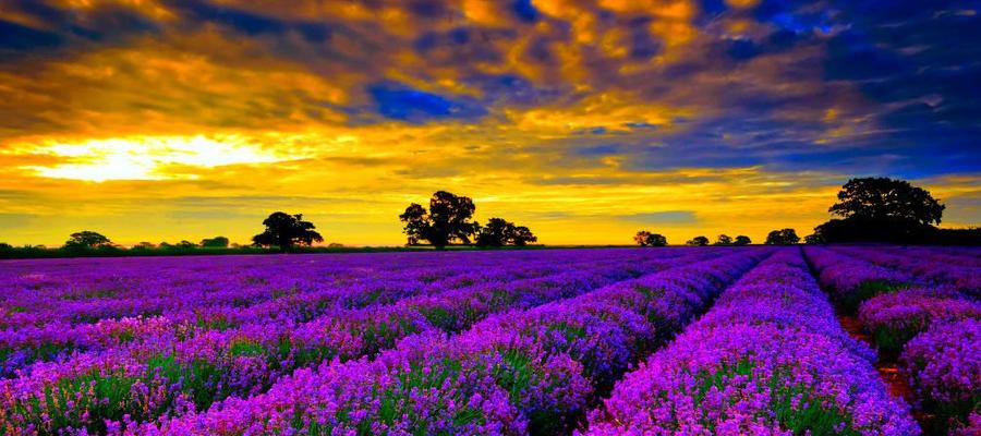 Мерките от СВОМР